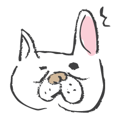 ブサかわ☆フレブル犬 サキ