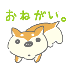 [LINEスタンプ] 柴犬シバタロの日常の画像（メイン）