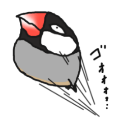 [LINEスタンプ] めつきがわるい文鳥