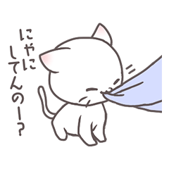 [LINEスタンプ] にゃーにゃーにゃんこの画像（メイン）