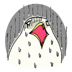 [LINEスタンプ] ウミネコさんの画像（メイン）