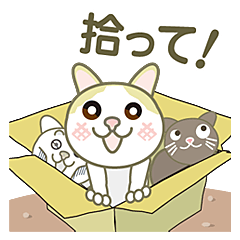 このねこひろってください