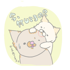 [LINEスタンプ] でぶちわの画像（メイン）