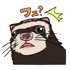 [LINEスタンプ] 仲良しフェレットのチャチャとクロ