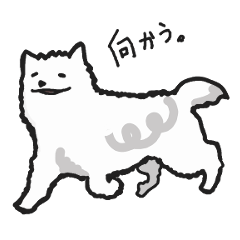 [LINEスタンプ] サモエド犬のファーシヴァルの画像（メイン）