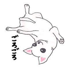 [LINEスタンプ] 手描きチワワ