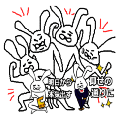 [LINEスタンプ] THE 白いウサギのウサ男さん（日常編）