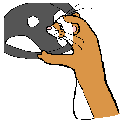 [LINEスタンプ] フェレットめいちゃんの画像（メイン）