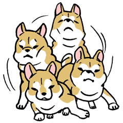 [LINEスタンプ] 哺乳類イヌ科柴犬の画像（メイン）