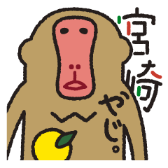 [LINEスタンプ] 【宮崎弁】猿ときどきミヤザキ。[サル]の画像（メイン）