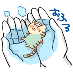 [LINEスタンプ] 手乗りにゃんこの画像（メイン）