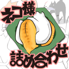 [LINEスタンプ] ネコ大好き！の画像（メイン）