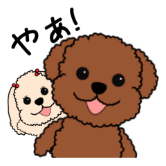 [LINEスタンプ] トイプーのモグとマルコの画像（メイン）