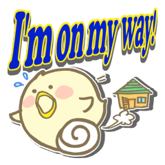 [LINEスタンプ] まるぴよ パート2 英語版の画像（メイン）