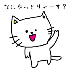 [LINEスタンプ] 名古屋弁を話したがる猫の画像（メイン）