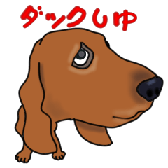 [LINEスタンプ] ダックしゅの画像（メイン）