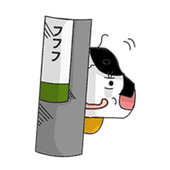 [LINEスタンプ] Oh~カメ子の画像（メイン）