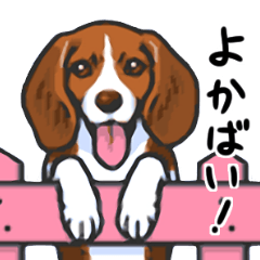 [LINEスタンプ] かわいか動物スタンプ（九州編）の画像（メイン）