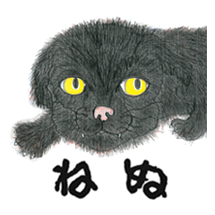 [LINEスタンプ] 『ねぬ』猫になりたかった犬の画像（メイン）