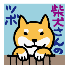 [LINEスタンプ] 柴犬さんのツボ vol.2の画像（メイン）