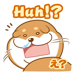 [LINEスタンプ] ダメいぬ《柴犬》アズマくんと英語で話そうの画像（メイン）