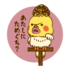 [LINEスタンプ] オカメインコのビクトリアの画像（メイン）