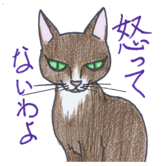 [LINEスタンプ] 邪眼の猫・チョコたん（乙女座）の画像（メイン）