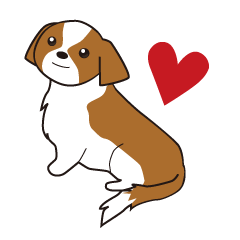 [LINEスタンプ] みんな大好きシーズー犬