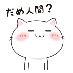 [LINEスタンプ] 「？」にゃんこの画像（メイン）