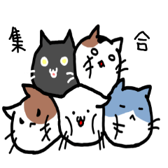 [LINEスタンプ] 5つ子ねこ兄弟の画像（メイン）