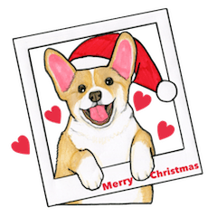 [LINEスタンプ] コーギーのメリークリスマス