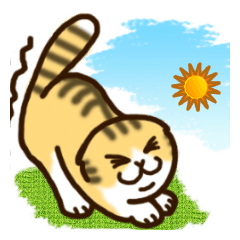 [LINEスタンプ] ふるにゅんねこの画像（メイン）