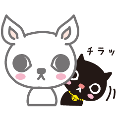 [LINEスタンプ] チワネコ