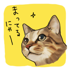 [LINEスタンプ] 猫田風太郎、おかわり。の画像（メイン）