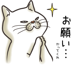 [LINEスタンプ] 猫面相 1