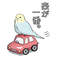 [LINEスタンプ] セキセイさん