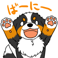 [LINEスタンプ] バーニースタンプ