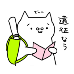 [LINEスタンプ] きびねこの画像（メイン）