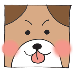 [LINEスタンプ] 犬のともちゃんの画像（メイン）