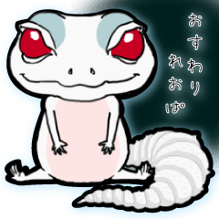 [LINEスタンプ] おすわりれおぱの画像（メイン）