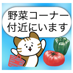 [LINEスタンプ] Mr.and Mrs.Catの画像（メイン）