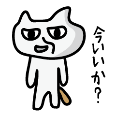 [LINEスタンプ] しろいねこくん。の画像（メイン）