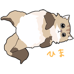 [LINEスタンプ] ゆるふわネコみやびの日常