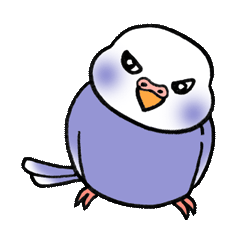 [LINEスタンプ] "セキセイインコの日常" 鳥さんと一緒04の画像（メイン）