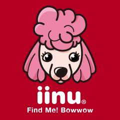 [LINEスタンプ] iinu プードルの画像（メイン）