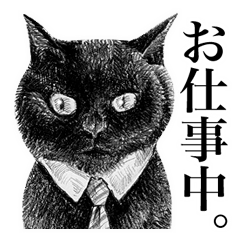 [LINEスタンプ] ねこ！ねこ！ねこ！