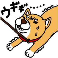 [LINEスタンプ] 柴犬もふろう1000%