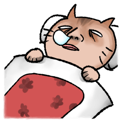 [LINEスタンプ] 人面猫の日常会話の画像（メイン）