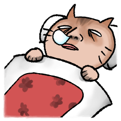 [LINEスタンプ] 人面猫の日常会話