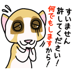 [LINEスタンプ] 許してください！何でもしますから！